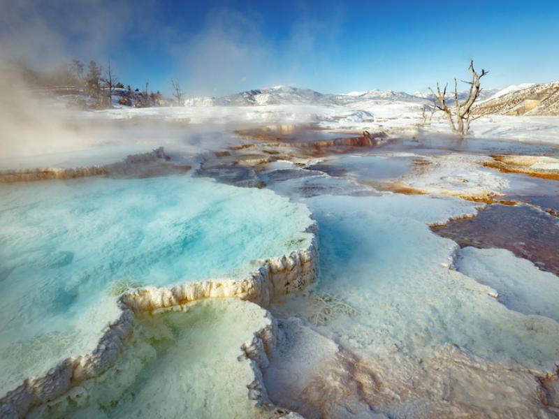 Yellowstone tout en Blanc